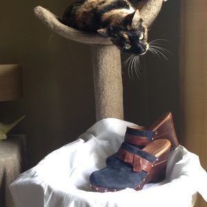 Suede Clogs in navy by Naya size 9